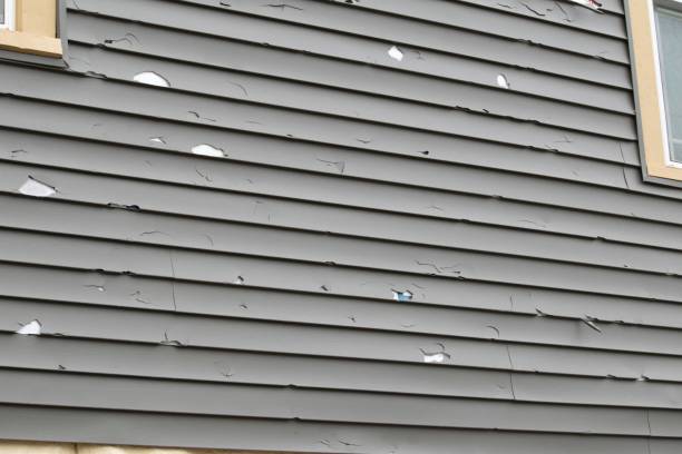 How To Choose The Right Materials for Your Siding Installation in 'Electra, TX